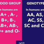 23EF6038 ACC6 4358 9281 5E7ADEA0262B