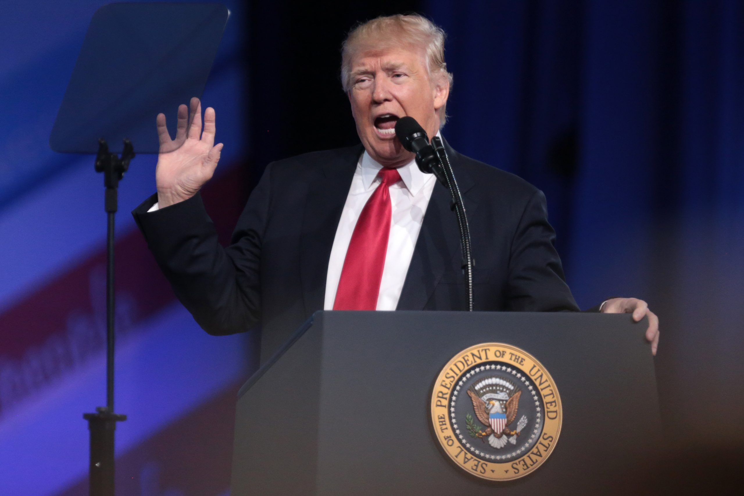 Donald trump (33013613771)