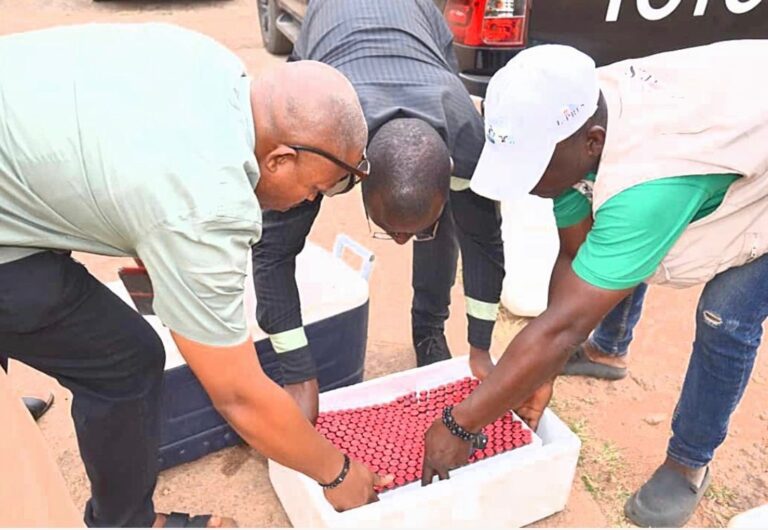 HAY2vckWAAADypX 768x530