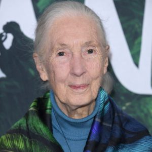Jane Goodall